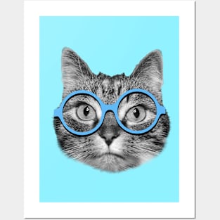 Cute hipster cat wearing big blue eyeglasses Posters and Art